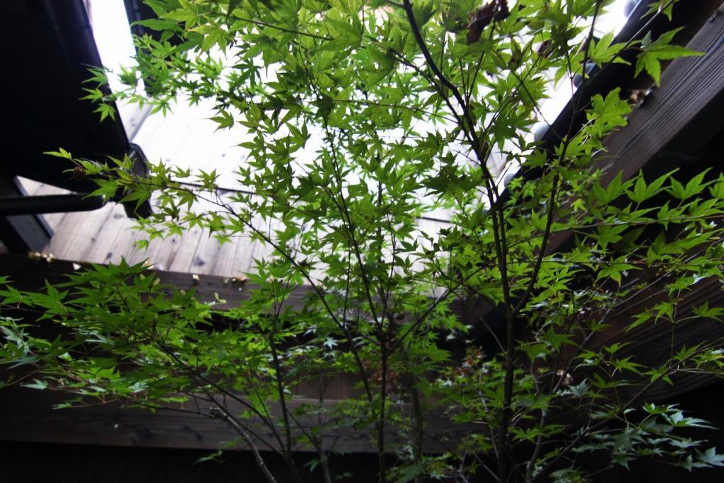 Anzu An Machiya House Villa Kyoto Oda fotoğraf